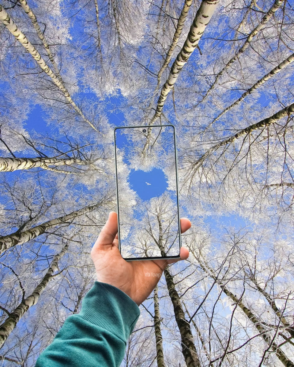 Low Angle View Of Hand Holding Plant Against Bare Tree