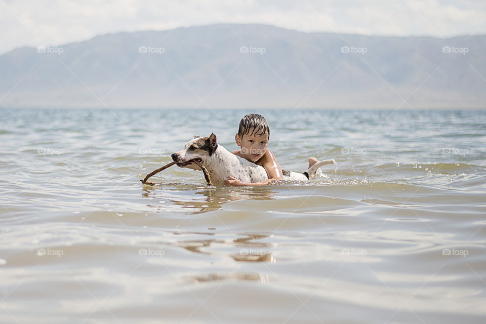 Boy in sea with a dog holding wooden log in mouth