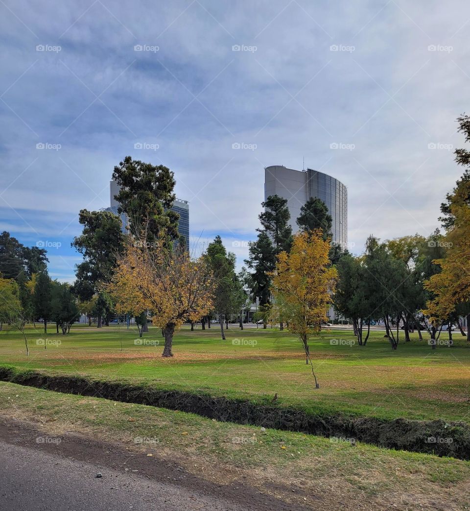 plantas en ciudad