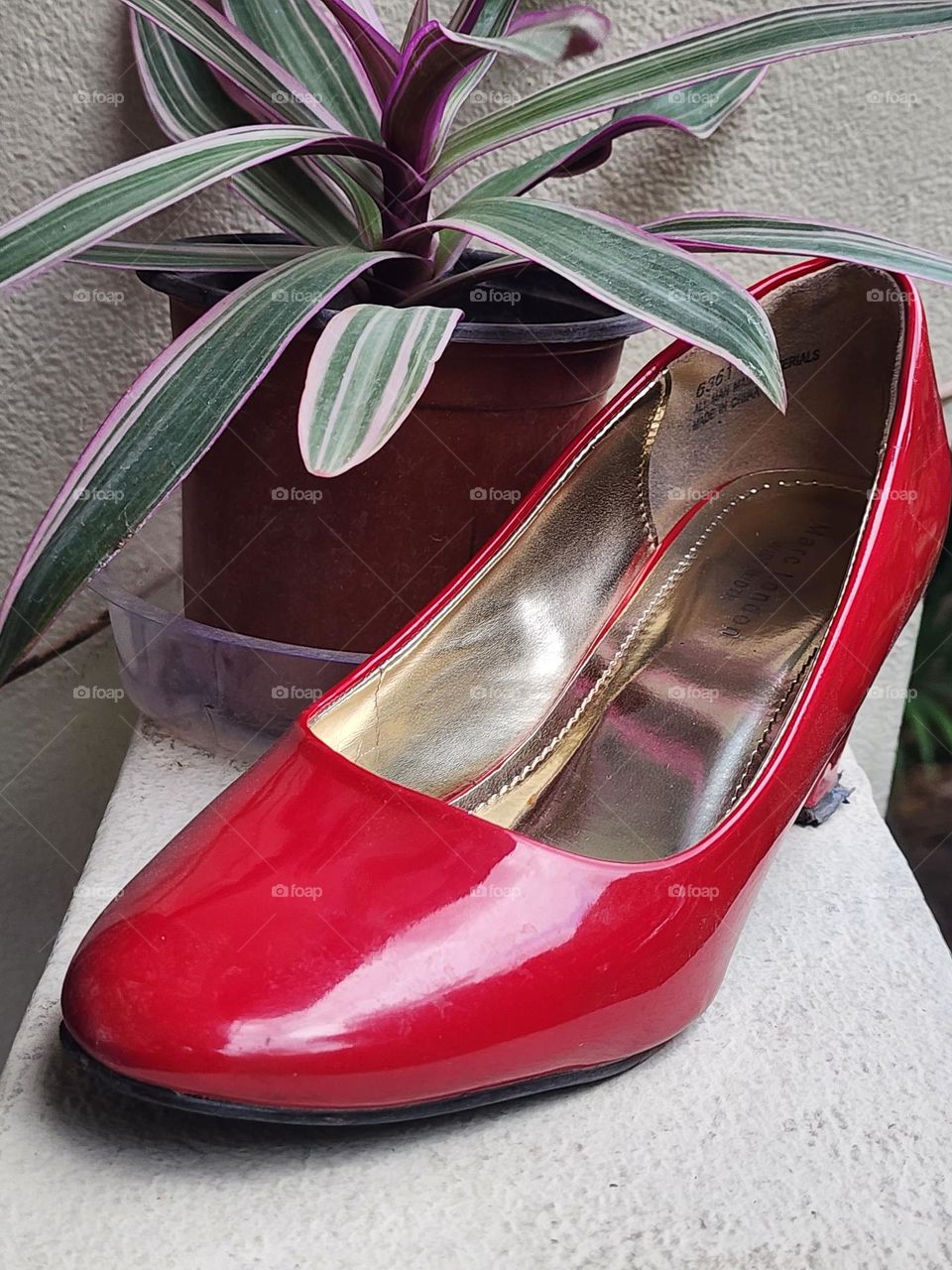 red shoe with Moses in a basket