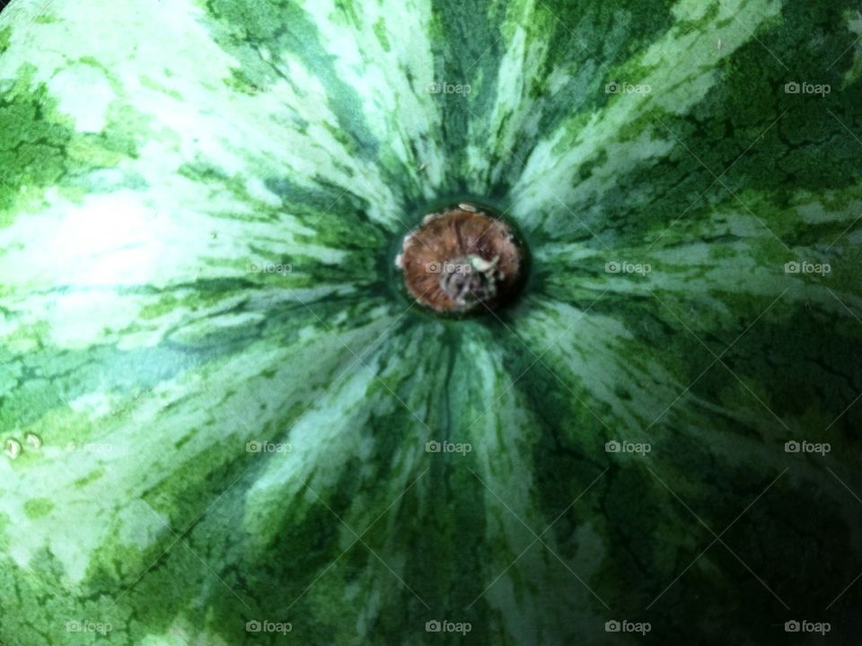 Watermelon Stem