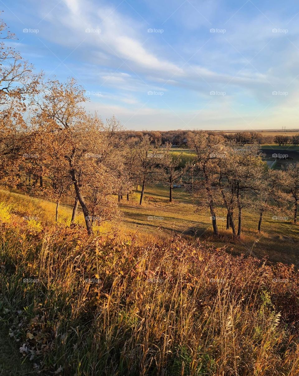 Autumn hills