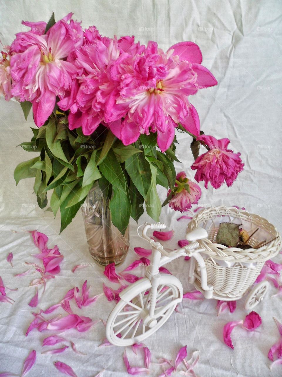 flowers in a vase