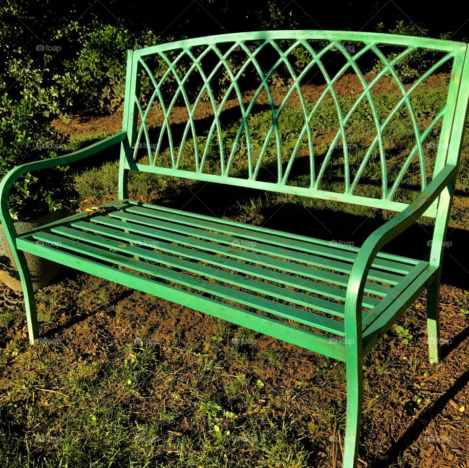 Green Bench on Grass