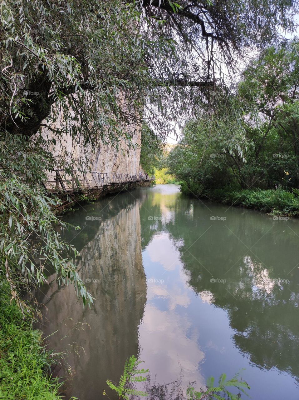 A quiet river in a forest with a wooden pathway on the side of the rocks/ Calm waters of a river/ Flat calm waters surrounded by trees and a rock