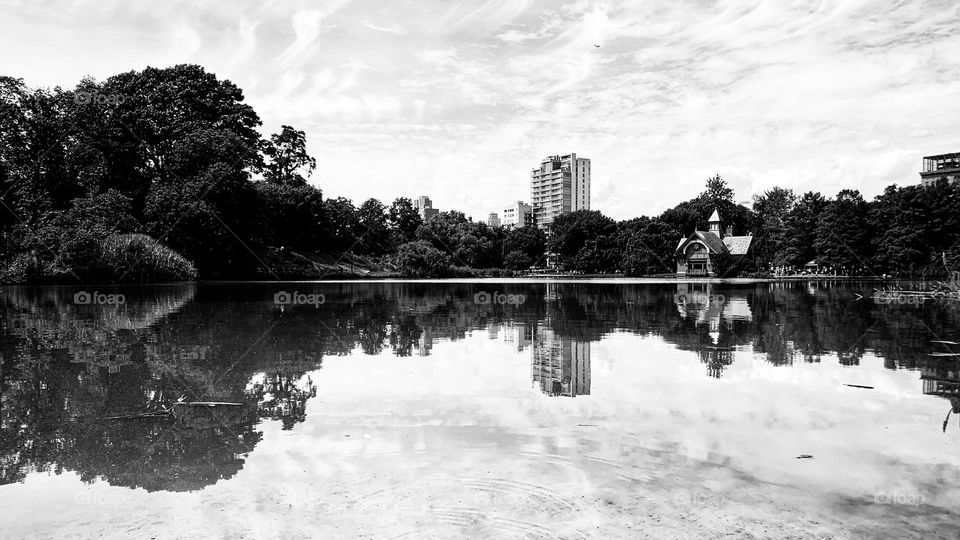 Symmetry of the trees and the building - Harlem Meer New York, Black and white