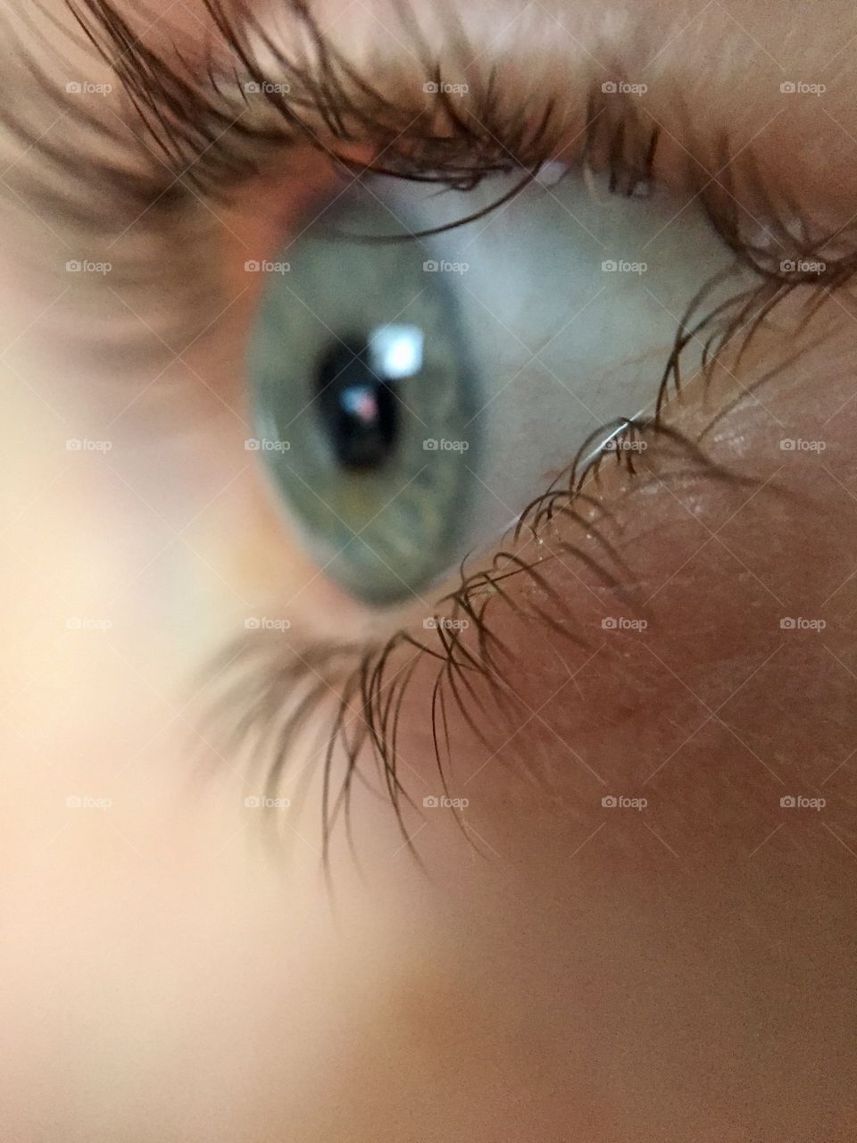 Human eye