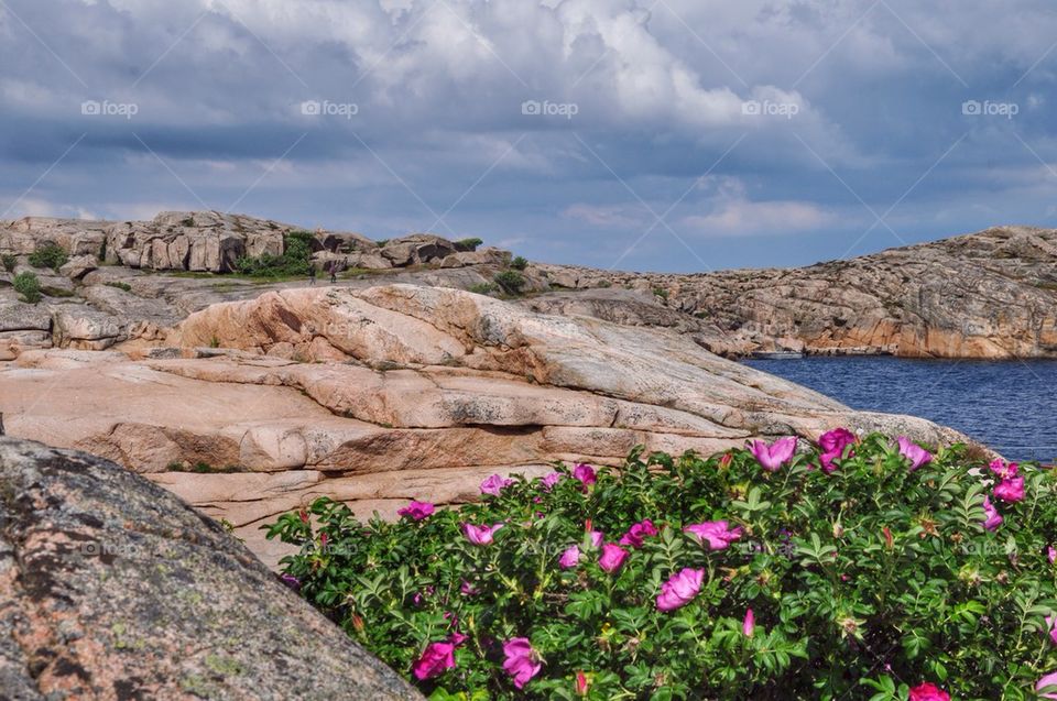 View of rocky beach in Smogen, Bohuslan