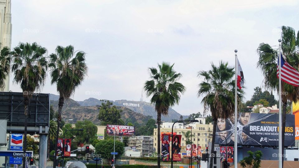 Hollywood