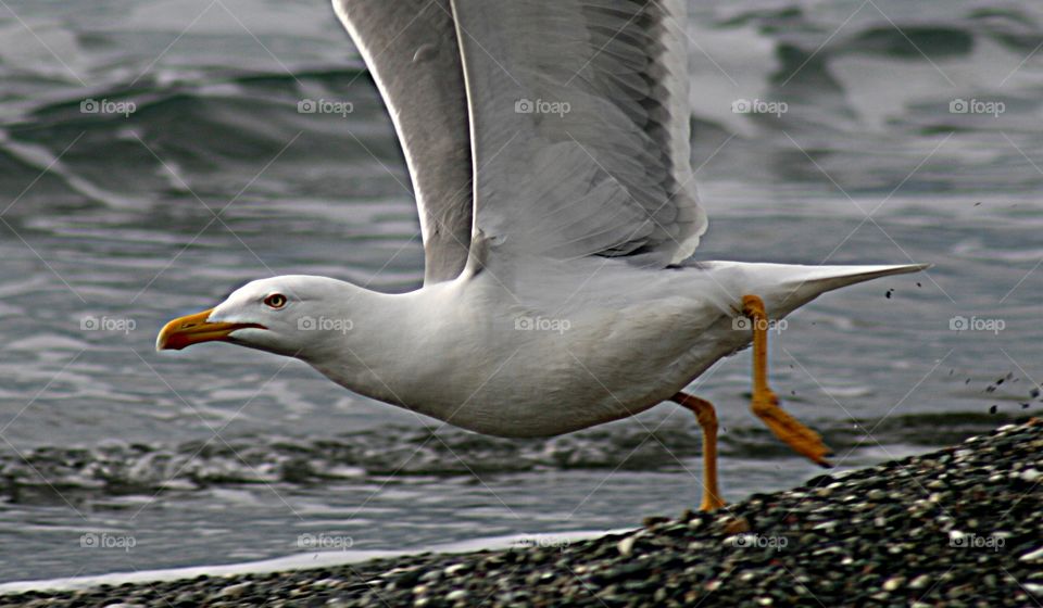 Track 2 cleared for take off