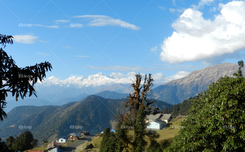 Chopta Valley