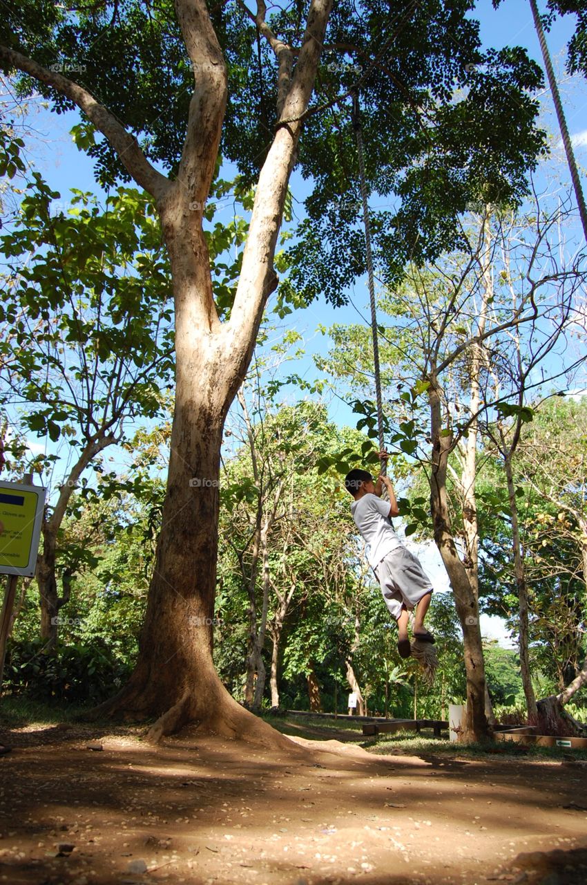 Rope swing 