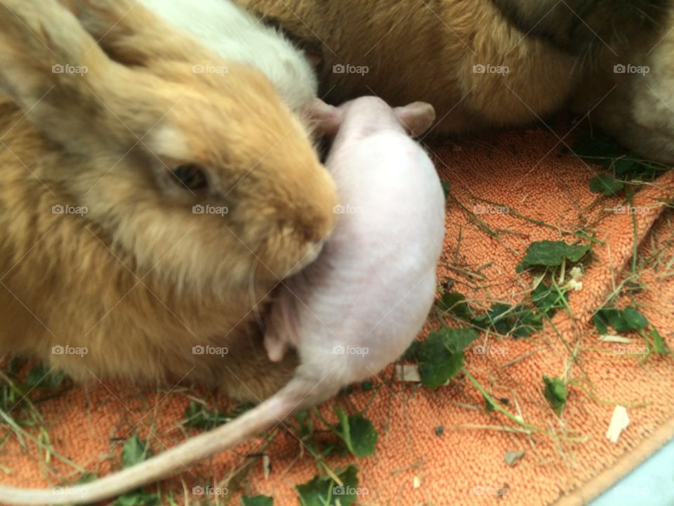 Living in perfect harmony 