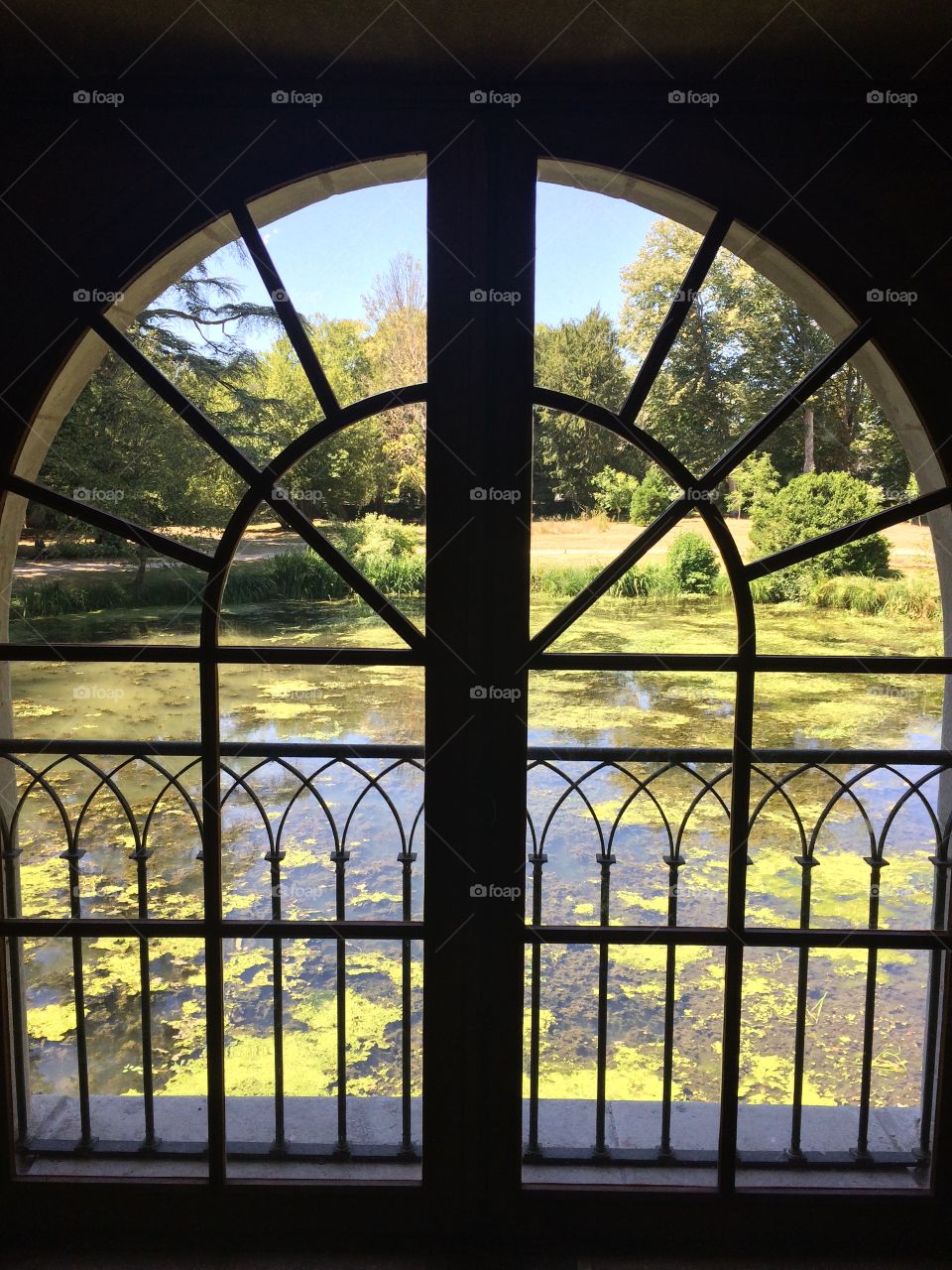 Window on the garden pond