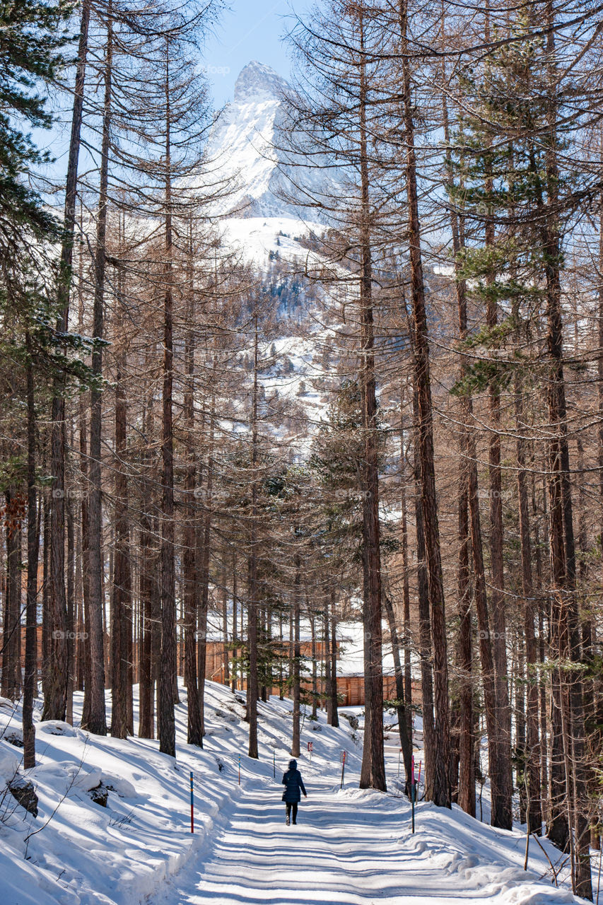 Walk near the Matterhorn mountain in Switzerland