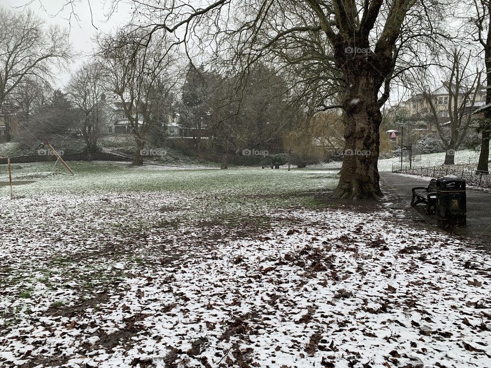 A snowy looking park with bare trees