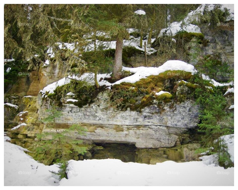 The wonders of nature