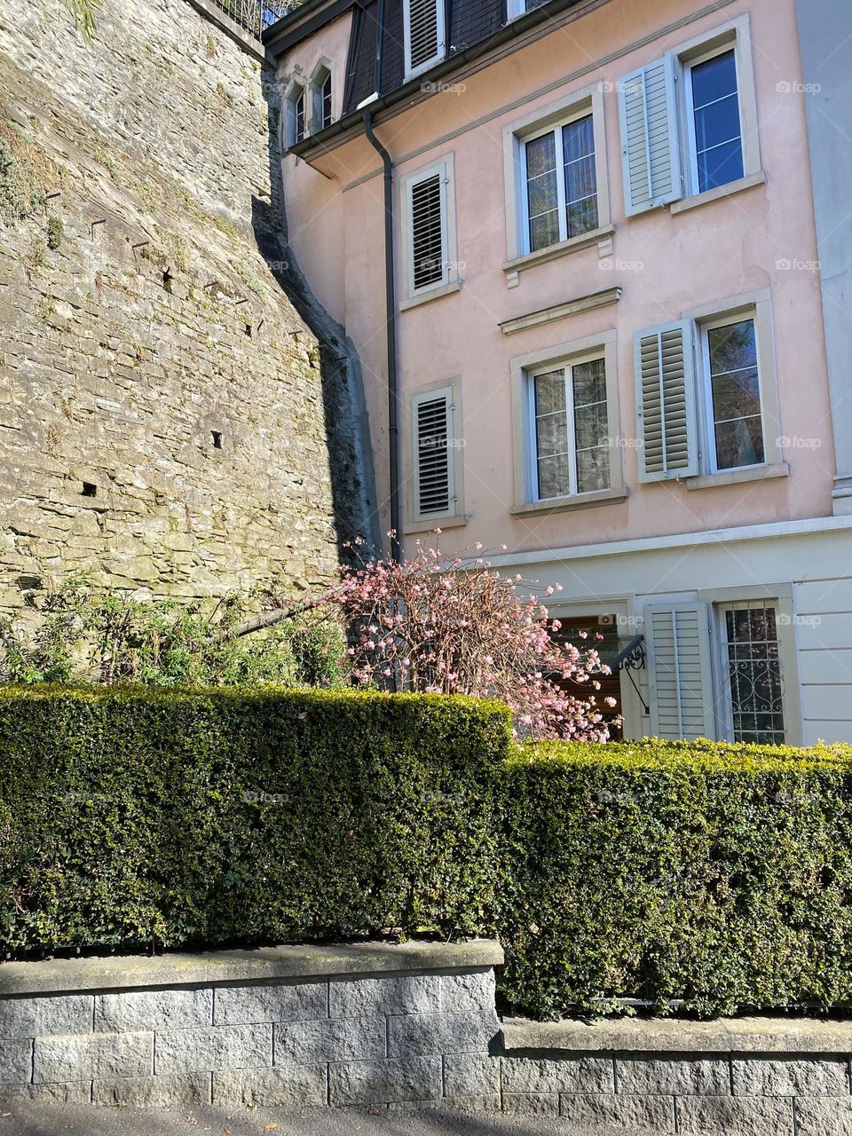 Buildings and nature environment 