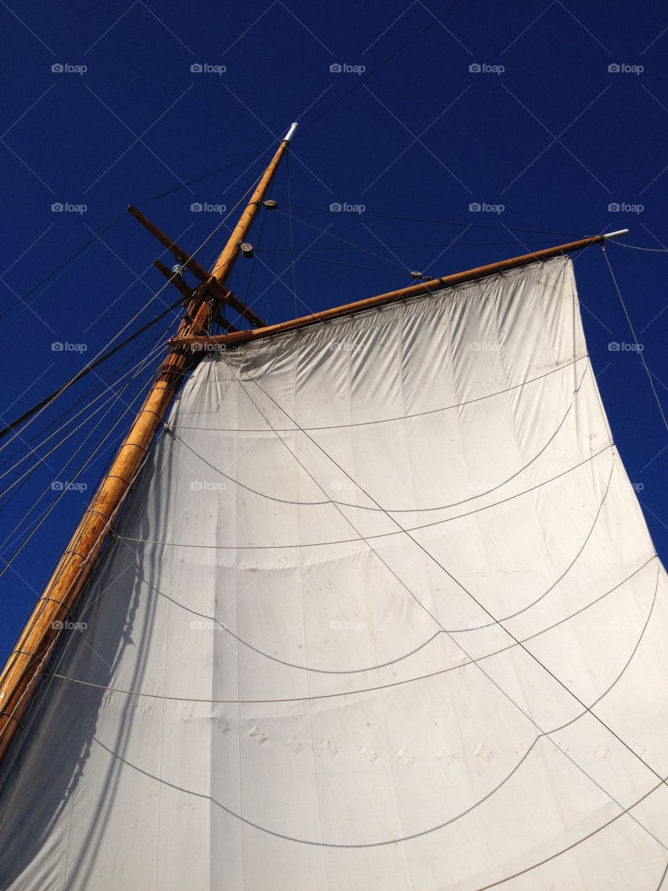 The wing. Sailship's sail