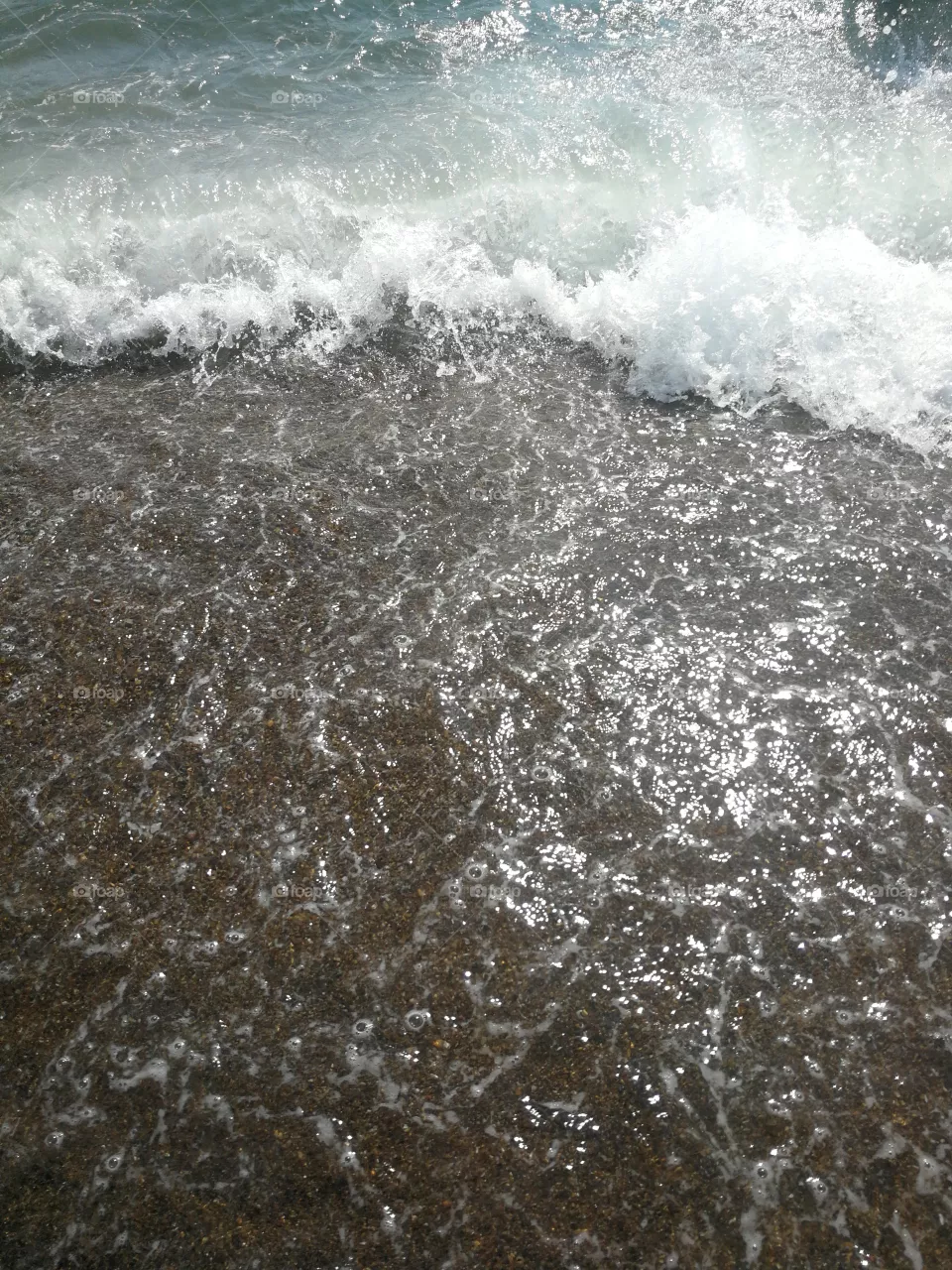 Sea