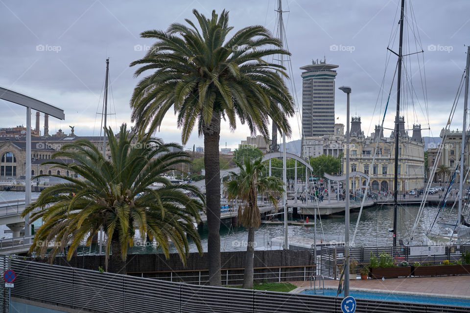 Vista del edificio de Aduanas desde el Maremagnum