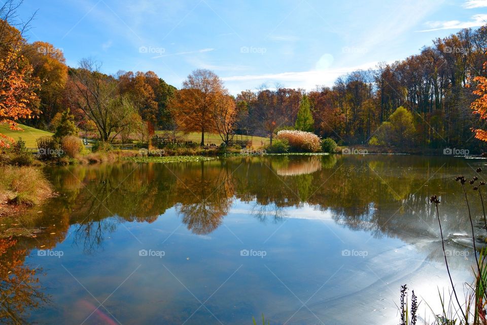 Autumn Lake