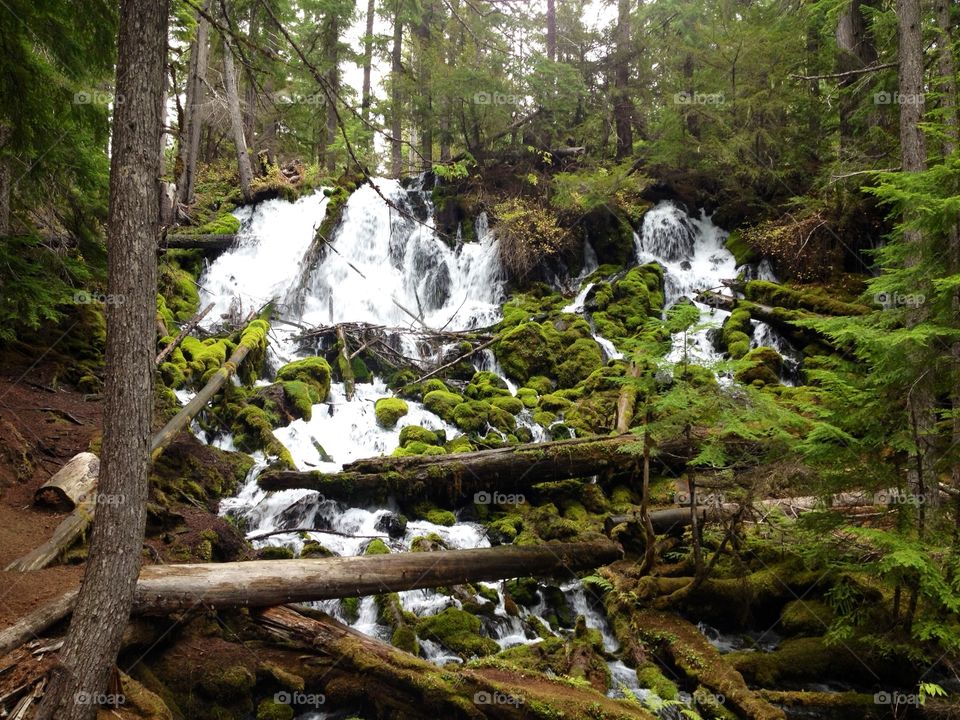 Waterfall in forest