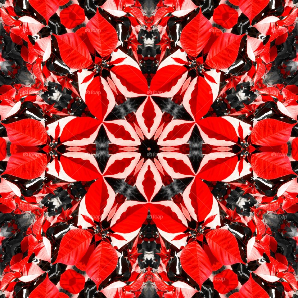 red leaves kaleidoscope