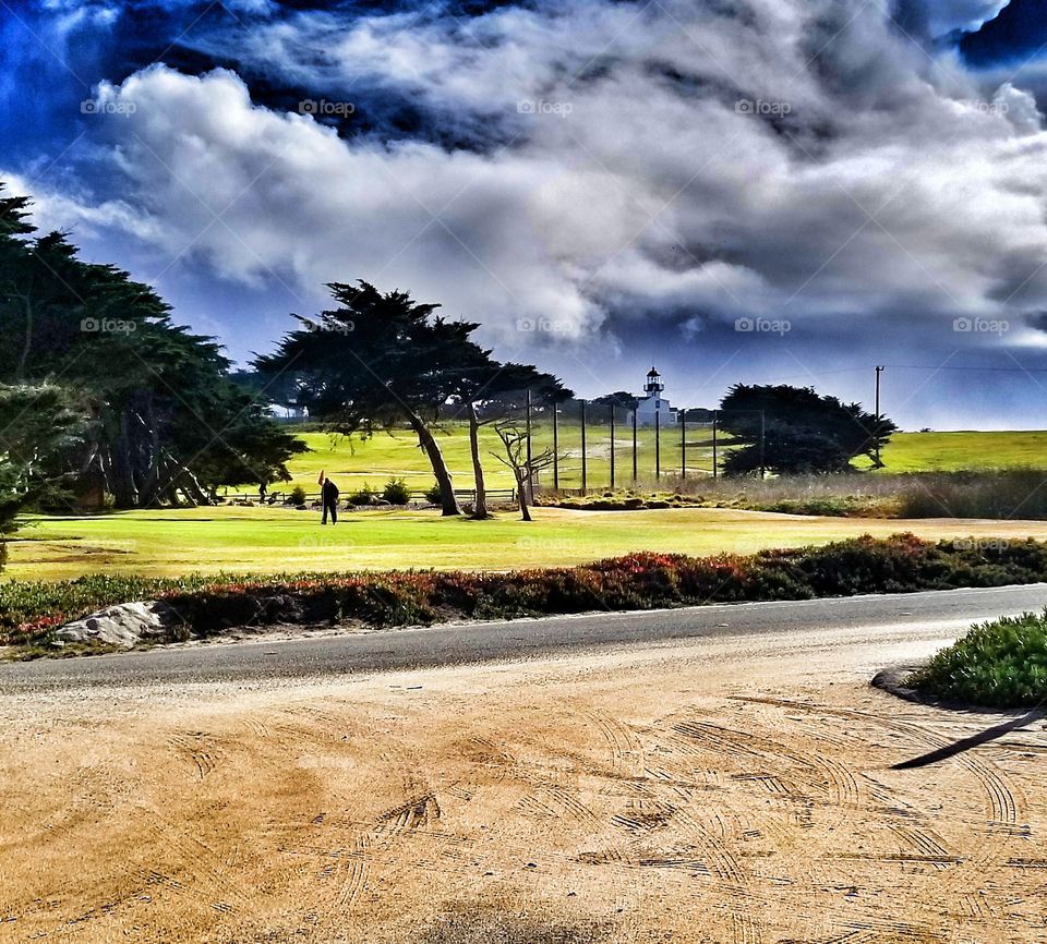 Check Your Swing, Sir