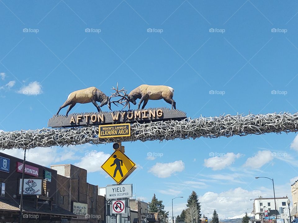 Afton Wyoming