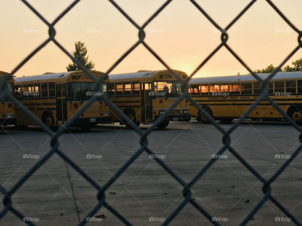The lonely school buses without use during the pandemic in California 