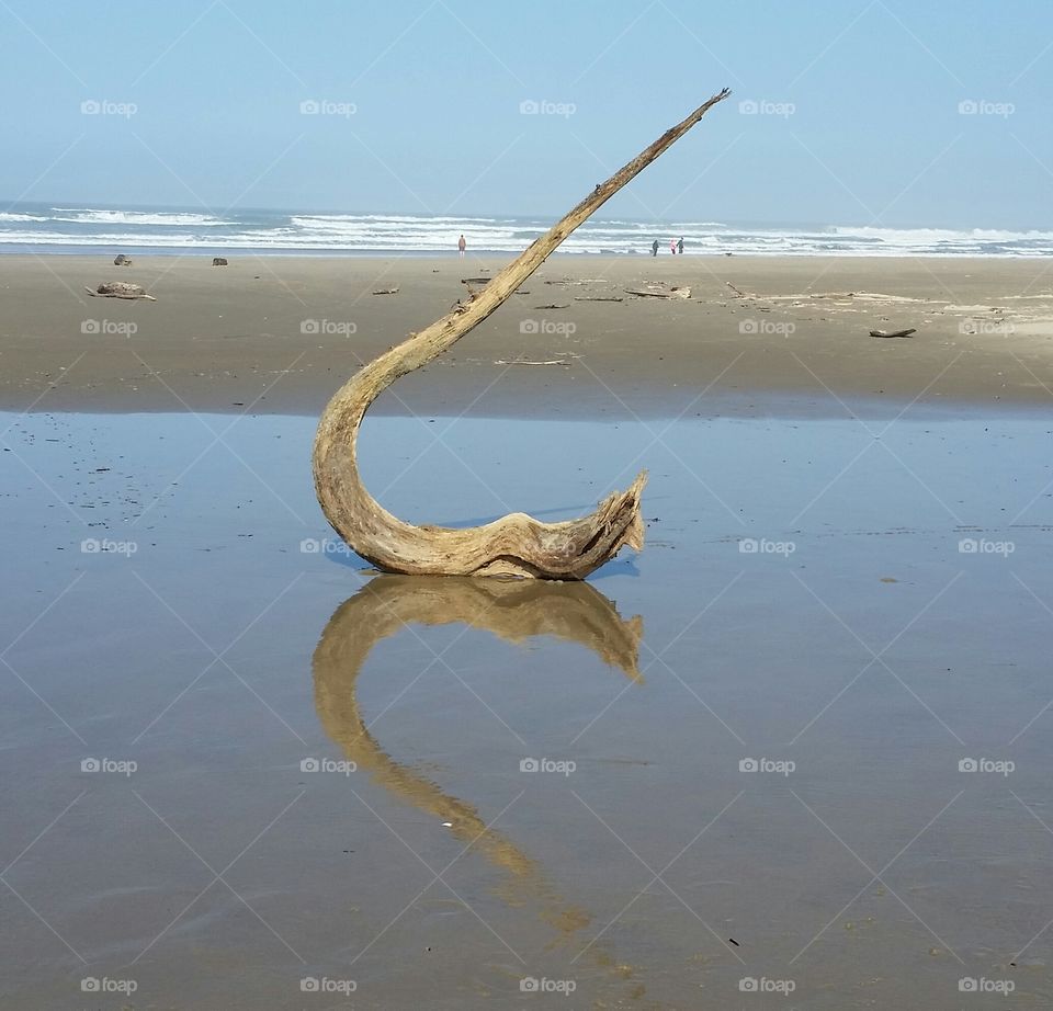Reflected driftwood heart