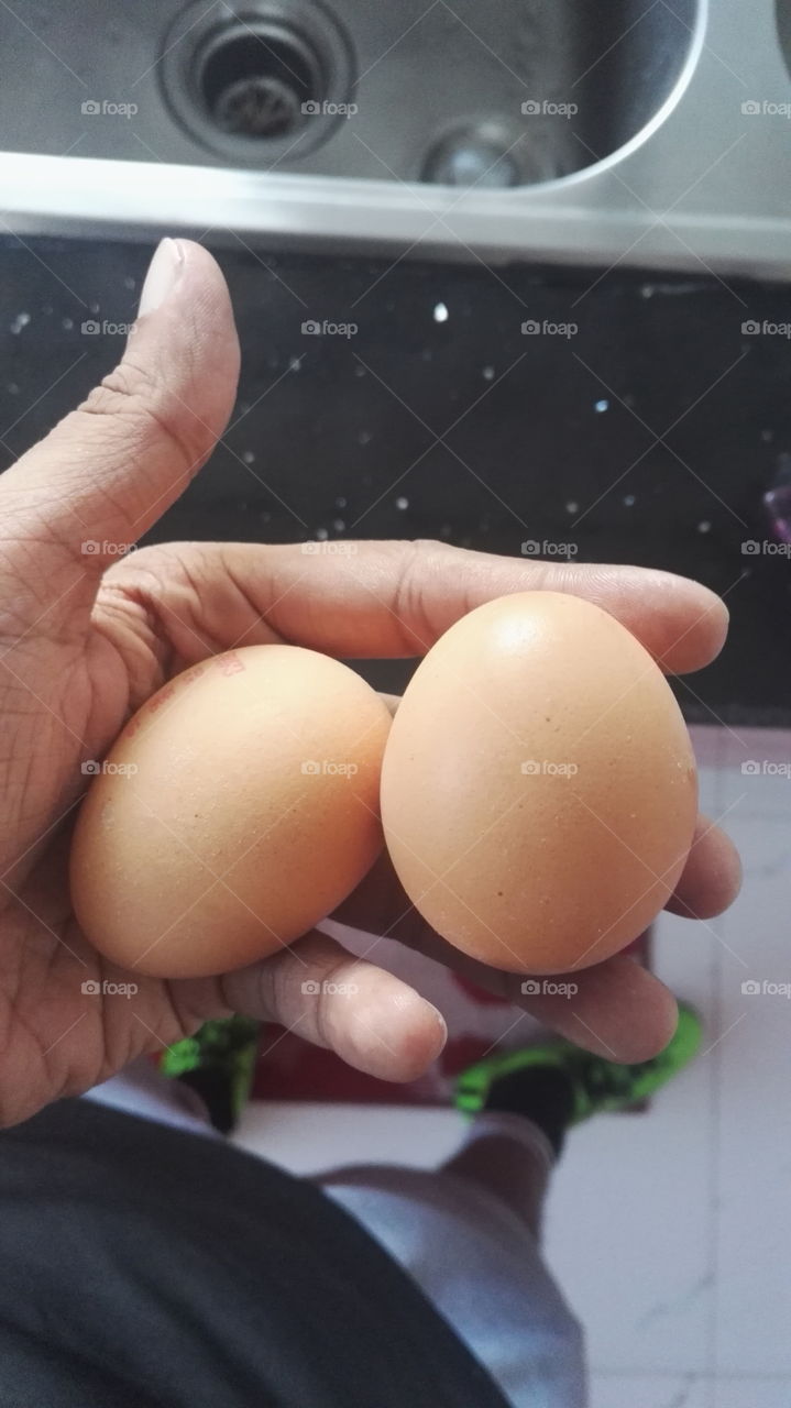 in... huge eggs