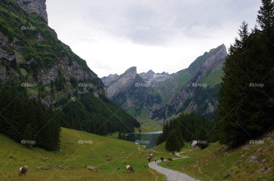 seealpsee landscape