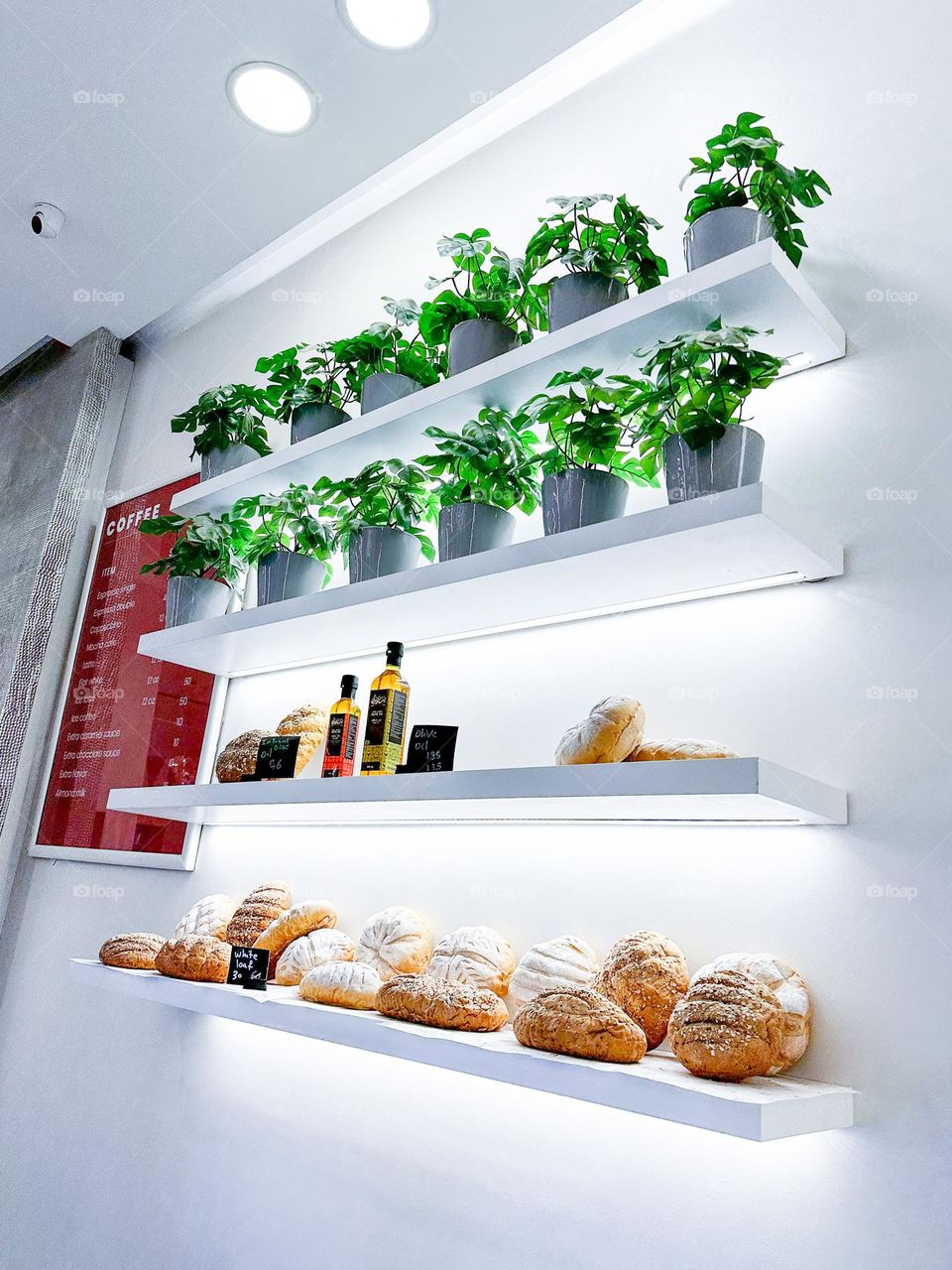 Bread and plants at the bakery shop 