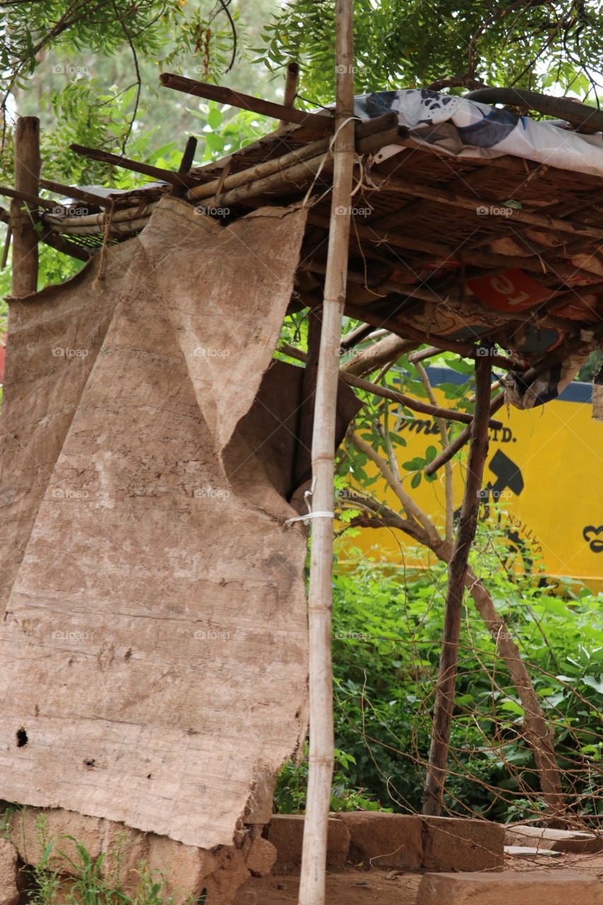 Wood, Tree, Wooden, Nature, No Person