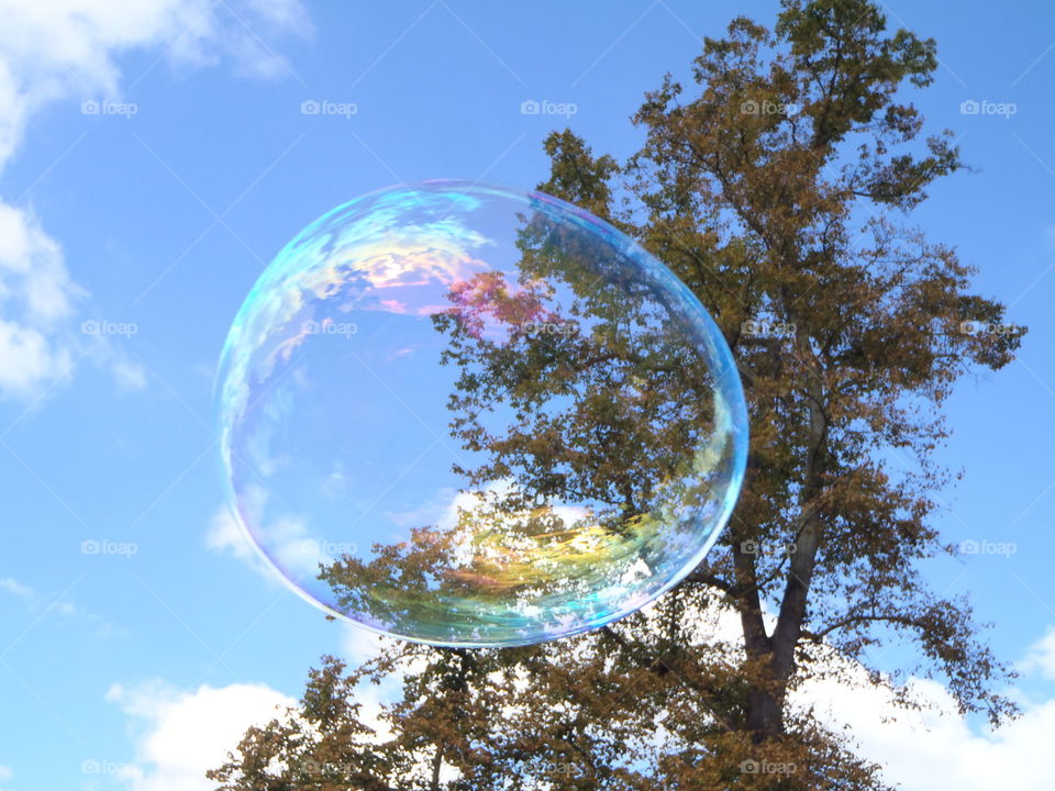 Sky through the bubble 