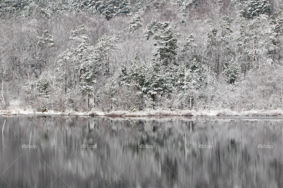 Winter wonderland lake reflection - vinterlandskap skog sjö reflektion 