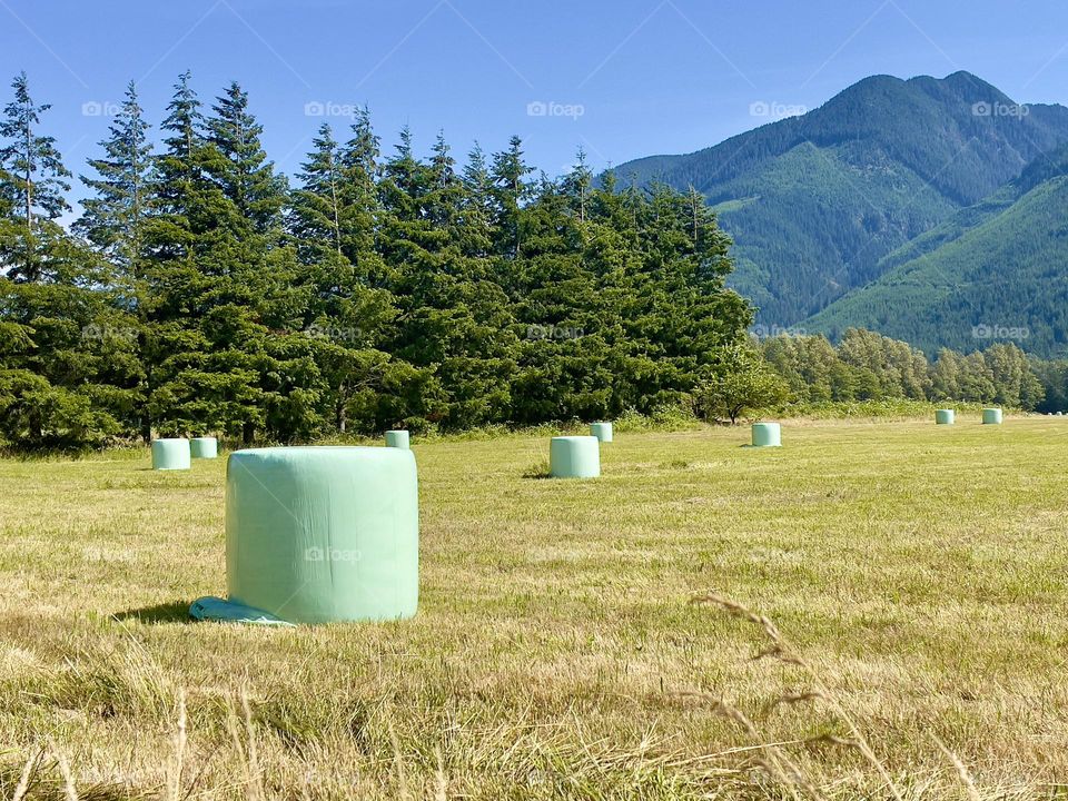 Hey on the field near the mountains 