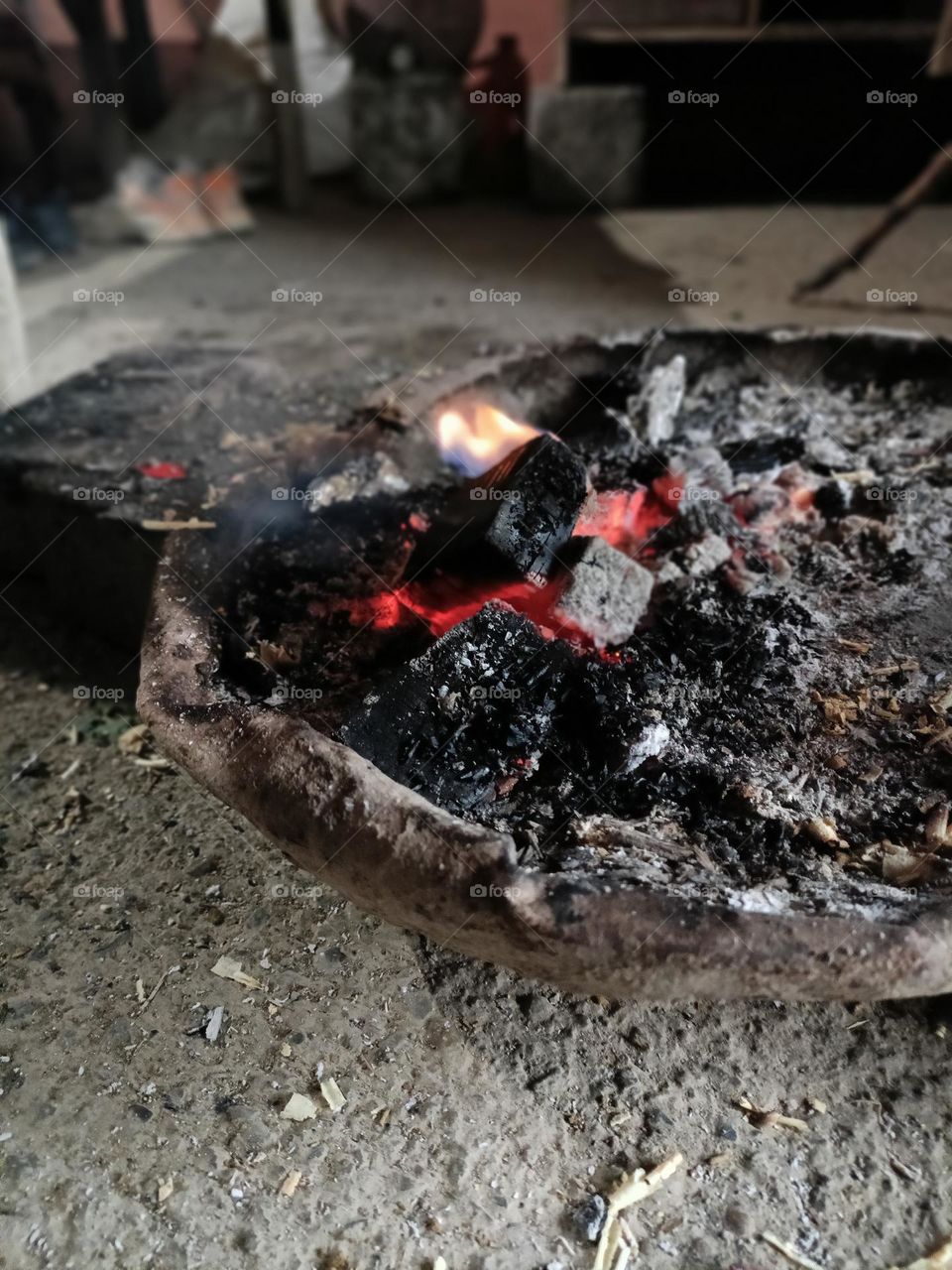 photos editor's: photo of the week