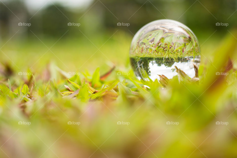 Crystal ball in the garden