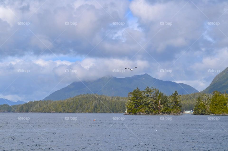 Wild nature and panoramic views of Pacific Rim Reaerve in Tofino area, Vancouver island, Canada. 