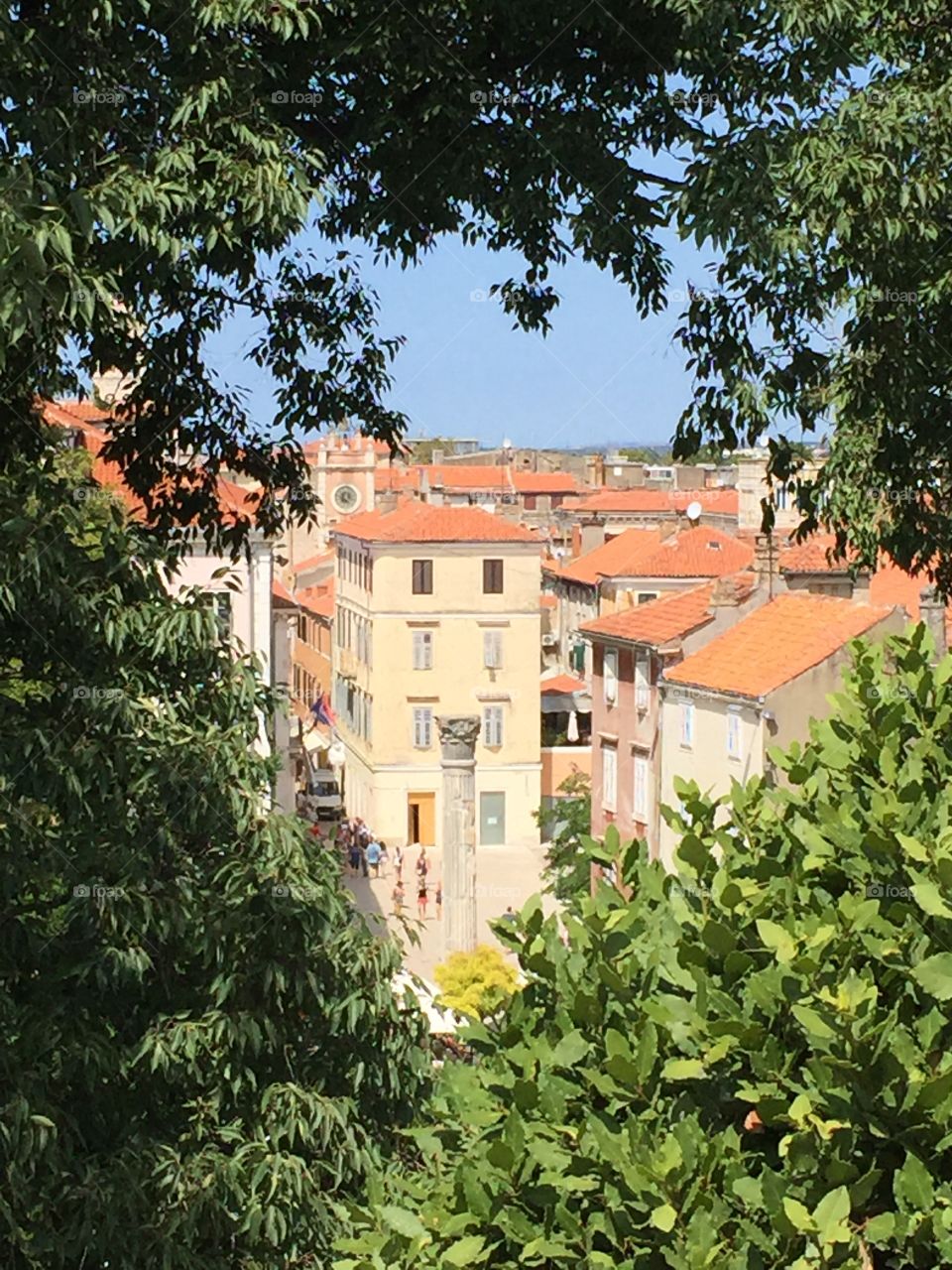 Red roofs of Zadar