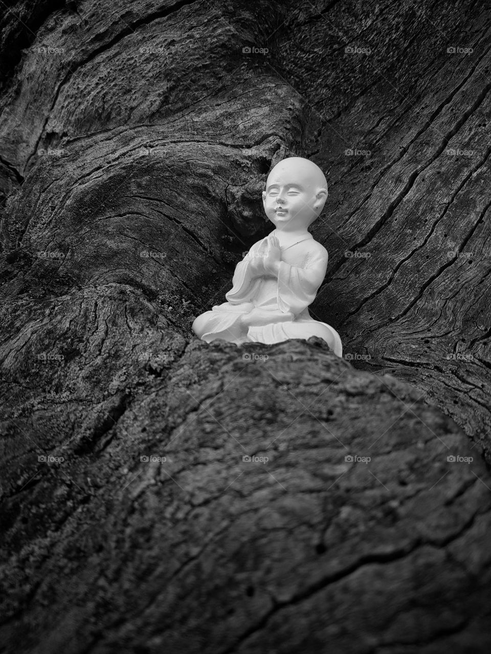 Buddha meditation at tree