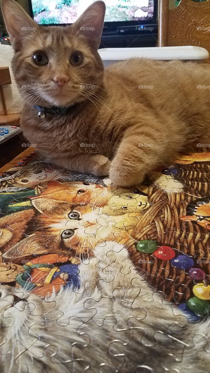 Max gives his approval