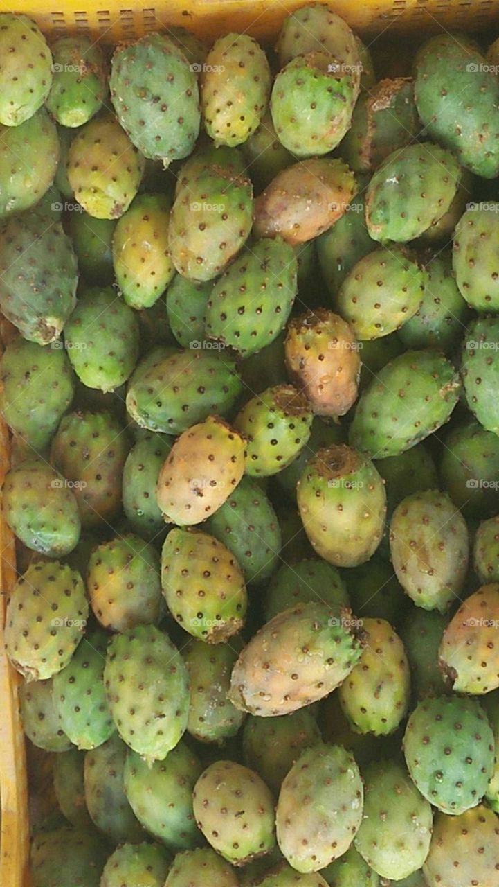 Cactus fruits.