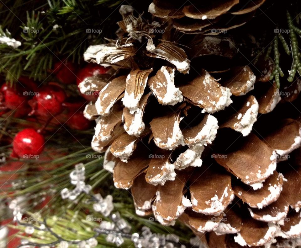 It's beginning to look a lot like...