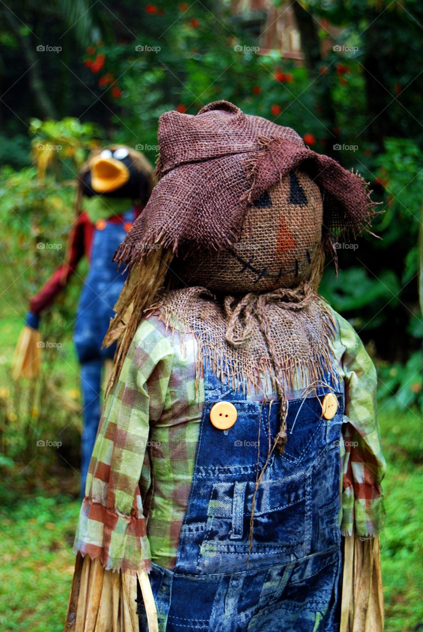 The colorful scarecrows