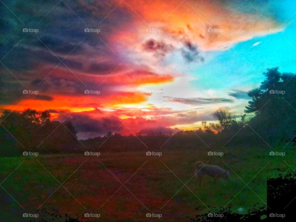 different colours of sunlight in sky