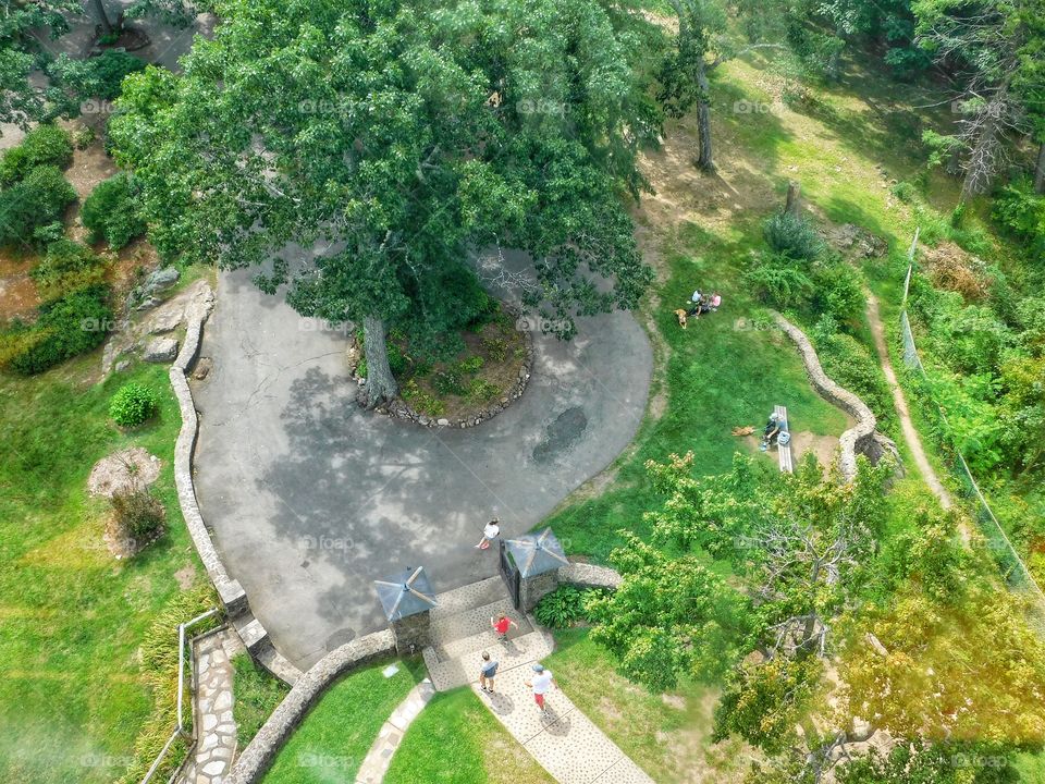 The view looking straight down from Heublein Tower 